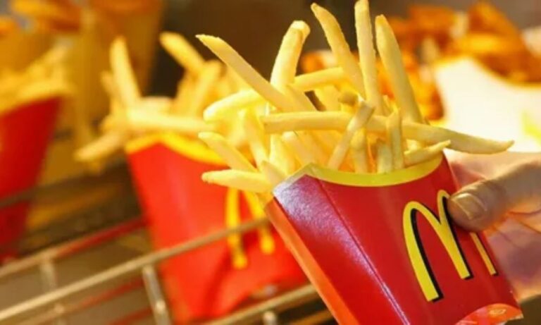 Upgrade Your Canadian Food Business with French Fries Boxes