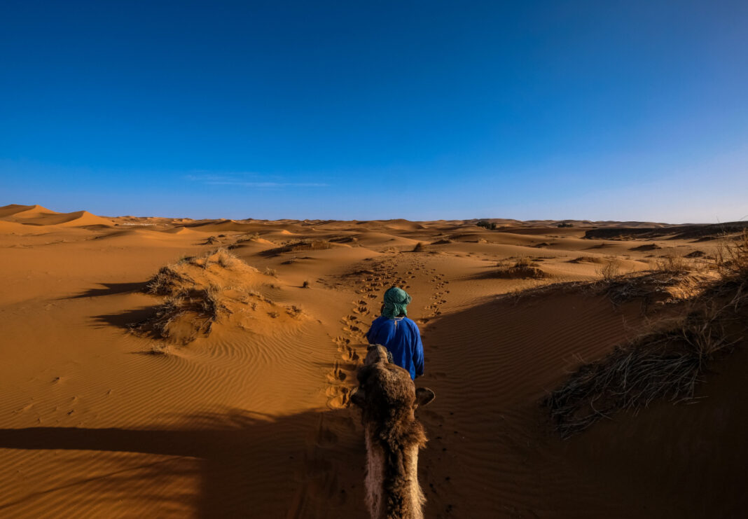 Desert Safari in jaisalmer