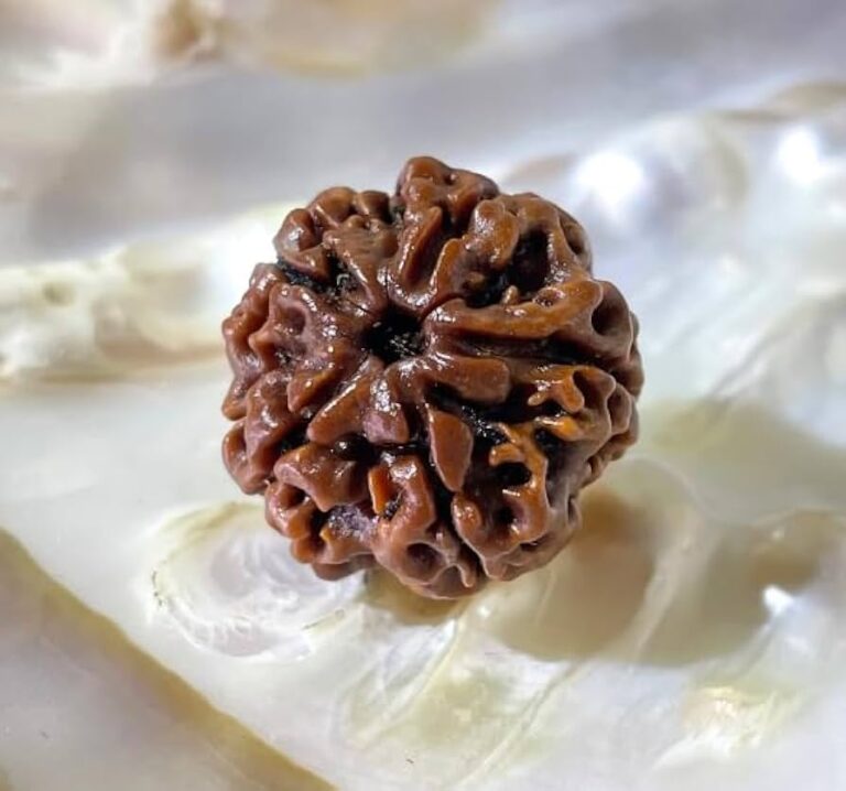 5 Mukhi Rudraksha Benefits, Power and Significance