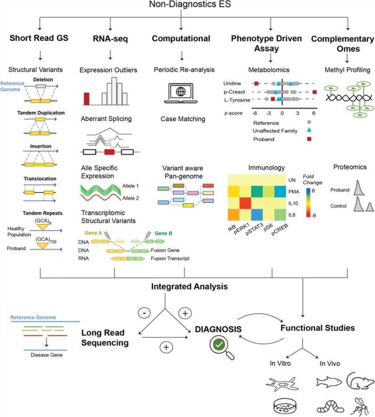 Diagnostic Development Expedite Rare Disease Research