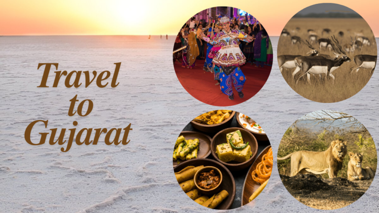 Gujarat Tour is a Must for History and Culture Enthusiasts 