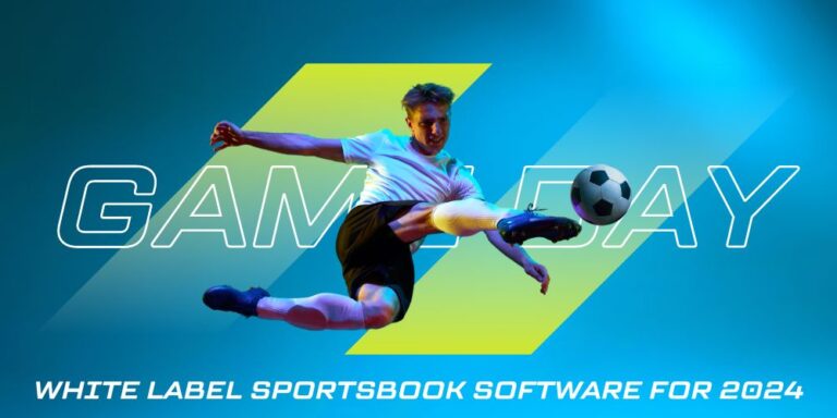 Consider White Label Sportsbook Software for 2024