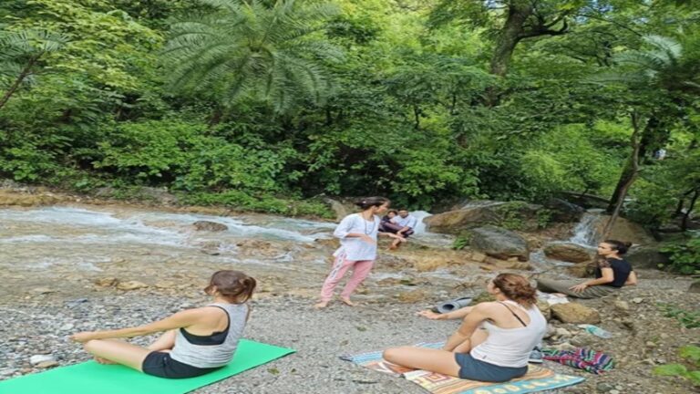 A Holistic Approach to Wellness: Detox Retreats in Rishikesh